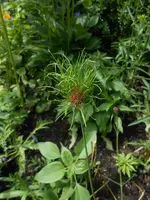 DSCN2719.webp
