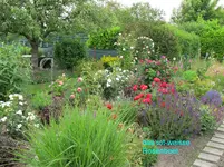 IMG_1118.webp
