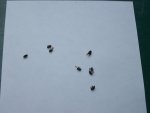 100_3879.jpg
