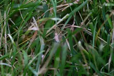 20150627_184543.webp