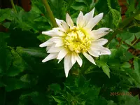 P6270474.webp