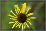 comp_DSC03865.jpg