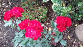 20150628_110355.webp