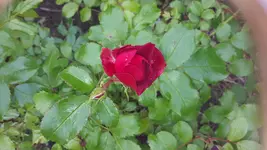 20150628_110429.jpg