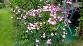 20150628_113038.webp