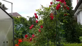 20150628_105344.webp