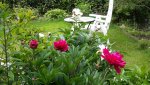 20150628_105551.jpg