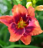 outreagus12.webp