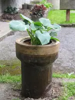 009_600x800.webp