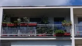 20150628_115808.webp