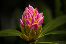 B 04.webp