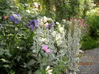 IMG_5387.webp