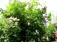 IMG_5402.webp