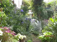IMG_5410.webp