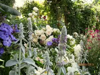 IMG_5389.webp