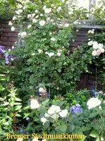 IMG_5393.webp