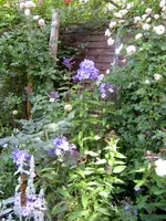 IMG_5394.webp