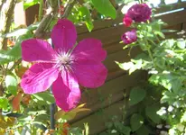 IMG_5399.webp