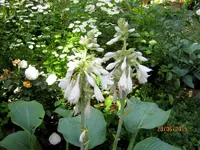 IMG_5400.webp