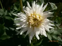 P6280500.webp