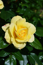 DSC_4805.webp