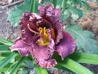 DSCF3899.webp