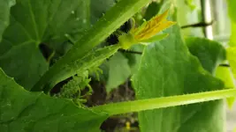 DSCF2674.webp