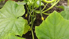 DSCF2679.webp