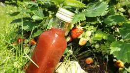 DSCF2601.webp