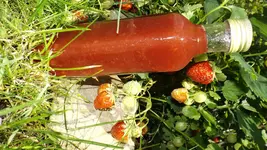 DSCF2603.webp