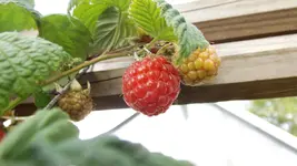 DSCF2669.webp