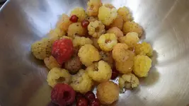 DSCF2721.webp