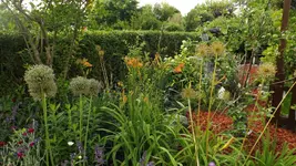 DSCF2623.webp