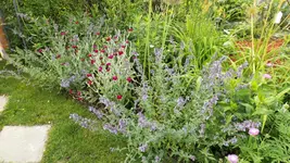 DSCF2622.webp