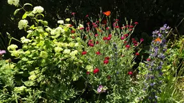 DSCF2645.webp