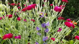 DSCF2647.webp