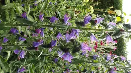 DSCF2640.webp