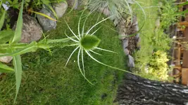 DSCF2665.webp