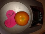20150628_081731.jpg