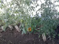 20150628_080718.webp