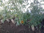 20150628_080718.jpg