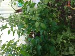 20150628_080946.jpg
