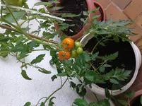 20150628_130823.webp