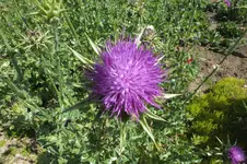 DSCF1699.webp