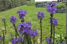 DSCF1711.webp