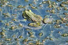 DSCF1713 (2).webp