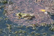 DSCF1715.webp