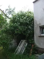 045.webp