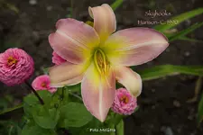 IMG_0587.webp