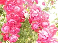 Bilda029.webp